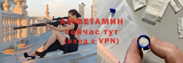 ECSTASY Богданович