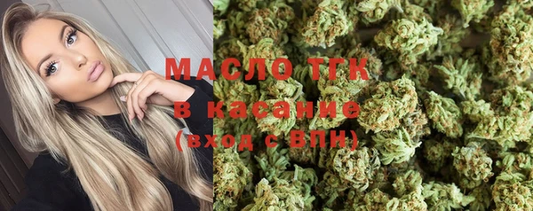 ECSTASY Богданович