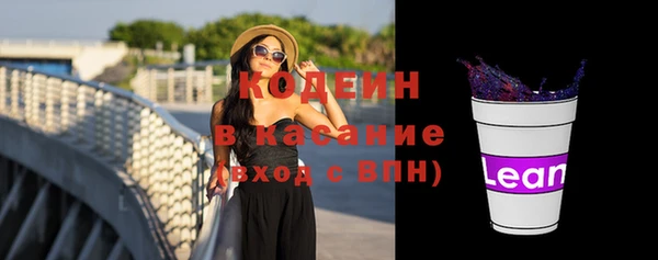 ECSTASY Богданович
