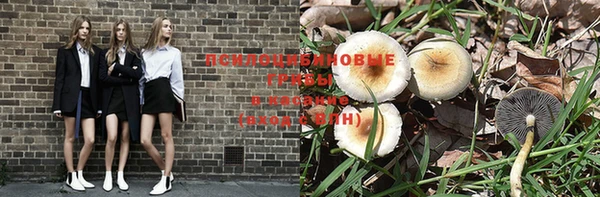 ECSTASY Богданович
