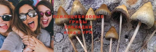 амфетамин Богородицк