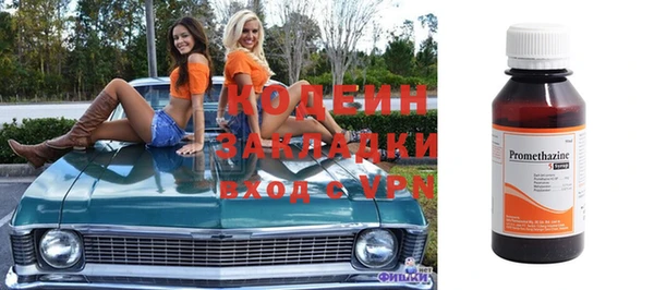 ECSTASY Богданович