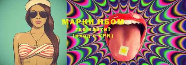 ECSTASY Богданович