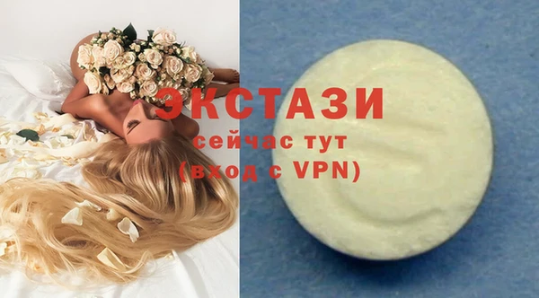 ECSTASY Богданович