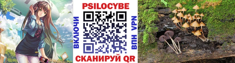 Купить  Байкальск  Галлюциногенные грибы MAGIC MUSHROOMS 